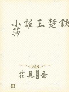 小说王楚钦孙颖莎