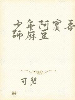 少年阿宾吾爱吾师麻豆