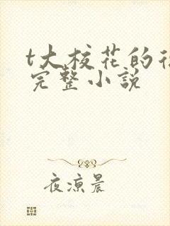 t大校花的复仇完整小说