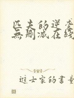 匹夫的逆袭小说无删减在线阅读