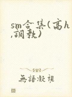 sm合集(高h,调教)