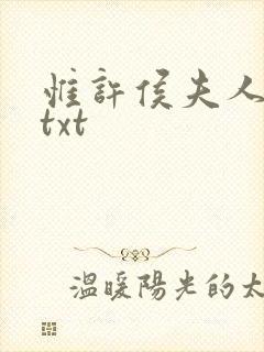 惟许侯夫人番外txt