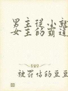 男主从小就喜欢女主的霸道总裁文