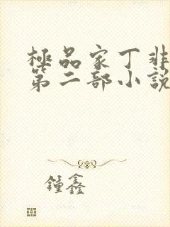 极品家丁非绿版第二部小说最新章节封面