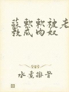 苏软软被老汉调教成肉奴封面