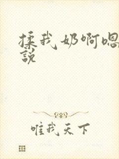 揉我奶啊嗯高小说