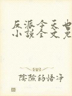 反派今天也很乖小说全文免费阅读