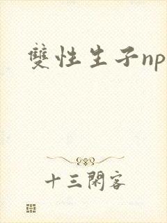双性生子np文