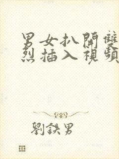 男女扒开双腿猛烈插入视频