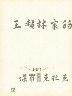 王超林家的小说