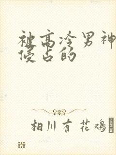 被高冷男神日夜侵占的