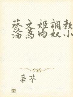 蔡文姬调教喷水沦为肉奴小说