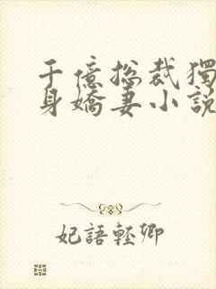 千亿总裁独宠替身娇妻小说阅读全文封面