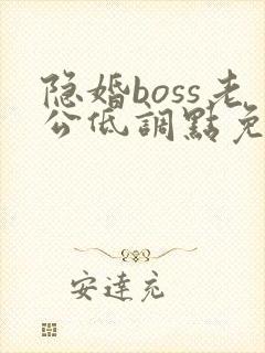 隐婚boss老公低调点免费阅读