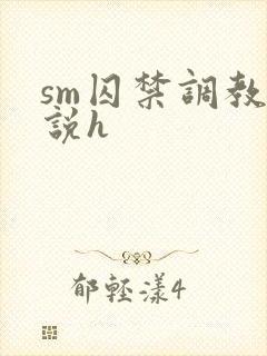 sm囚禁调教小说h