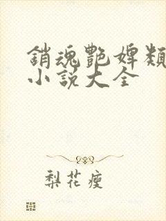 销魂艳婢类似的小说大全