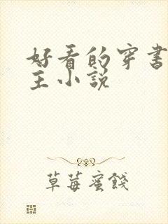 好看的穿书双男主小说