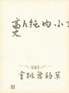 高h纯肉小说h文