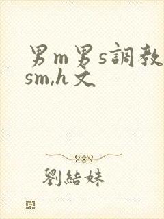 男m男s调教(sm,h文