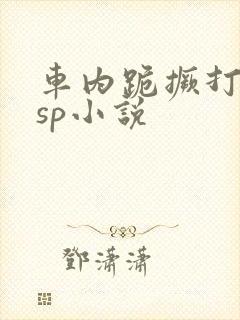 车内跪撅打屁股sp小说
