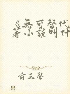 《无可替代》原著小说叫什么