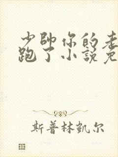 少帅你的老婆又跑了小说免费阅读封面