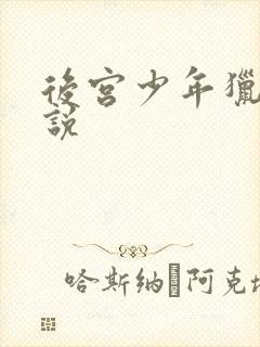后宫少年猎美小说