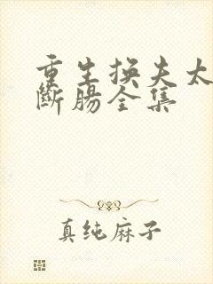 重生换夫太子悔断肠全集封面