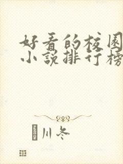 好看的校园言情小说排行榜前十名封面