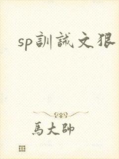 sp训诫文狠文封面