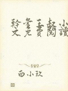 干爹王叔小说全文免费阅读最新章节封面