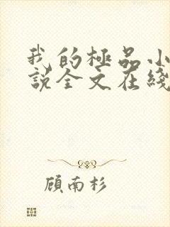 我的极品小姨小说全文在线阅读