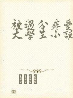 被过分疼爱的男大学生小说沈阔