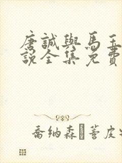 唐诚与马玉婷小说全集免费阅读