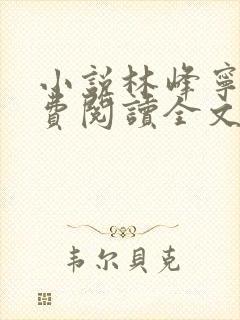 小说林峰宁欣免费阅读全文无弹窗