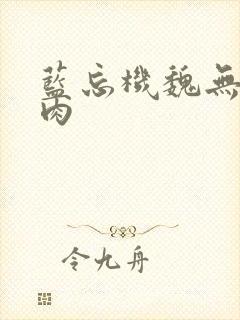 蓝忘机魏无羡肉肉