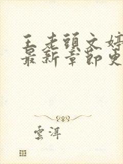 王老头文婷小说最新章节更新时间