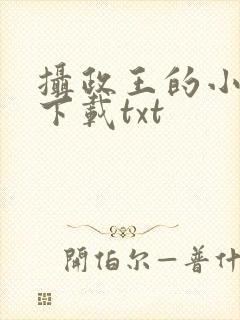摄政王的小闲妻下载txt