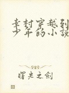 幸村穿越到排球少年的小说