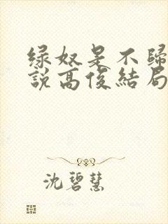 绿奴是不归路小说高俊结局封面