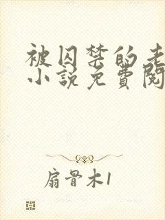 被囚禁的老实人小说免费阅读封面