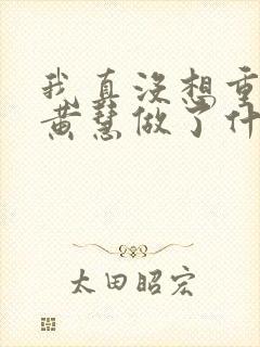 我真没想重生啊黄慧做了什么