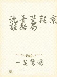 沈青茉段京叙小说结局