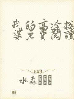 我的高冷总裁老婆免费阅读封面