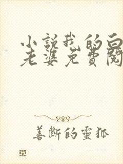 小说我的白富美老婆免费阅读原文