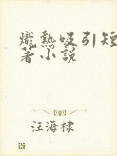 炽热吸引短剧原著小说