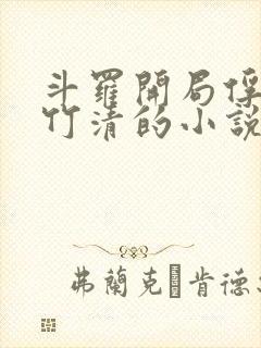斗罗开局俘获朱竹清的小说