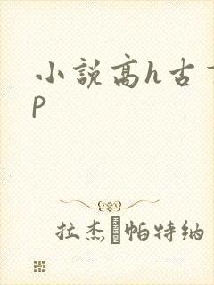 小说高h古言np