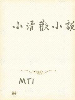 小清欢小说阅读封面