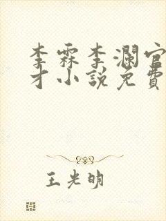 李霖李澜官场奇才小说免费阅读封面